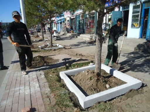 F-12吊環(huán)石材夾具吊裝樹坑石現(xiàn)場(chǎng)--河北東圣吊索具制造有限公司